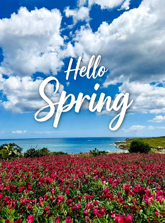 Spring Newsletter