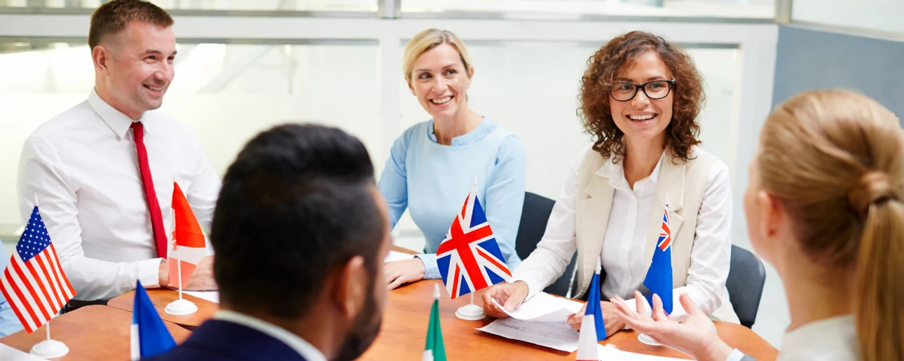 Award in International Organisational Management and Development